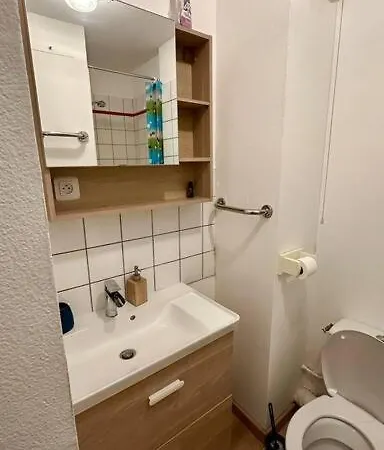 Appartement Splendide Studio En Hypercentre Avec Parking 4 Mulhouse